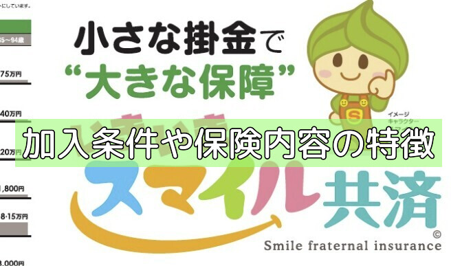 加入条件や保険内容の特徴の画像 加入条件や保険内容の特徴の画像